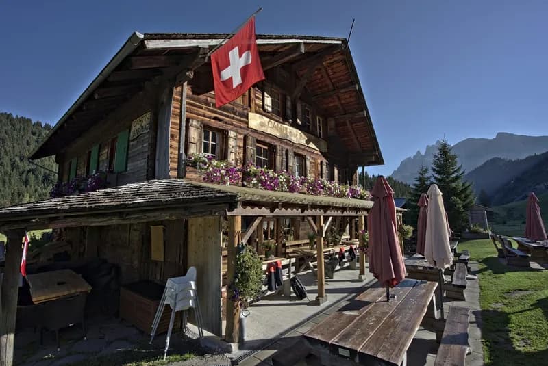Refuge picture