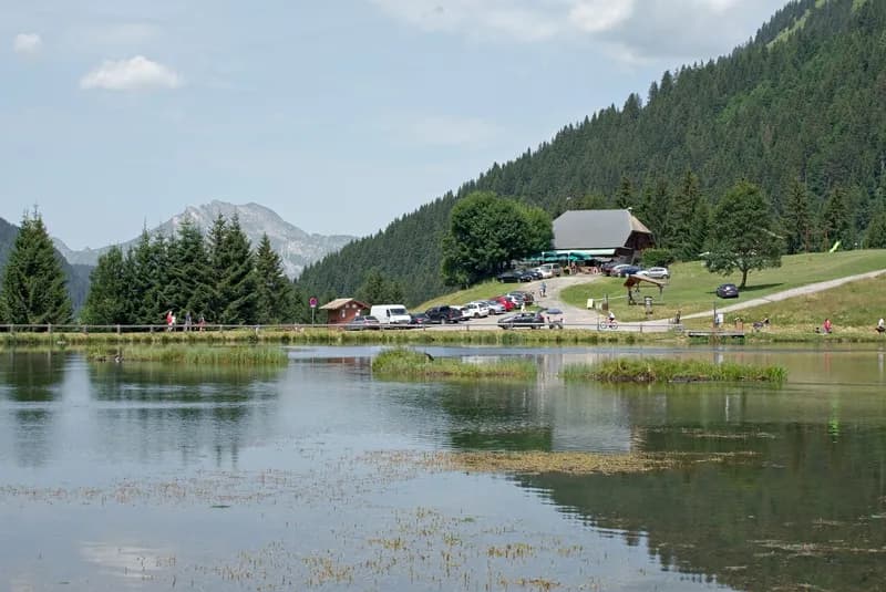 Refuge picture