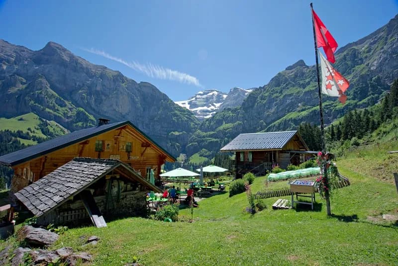 Refuge picture