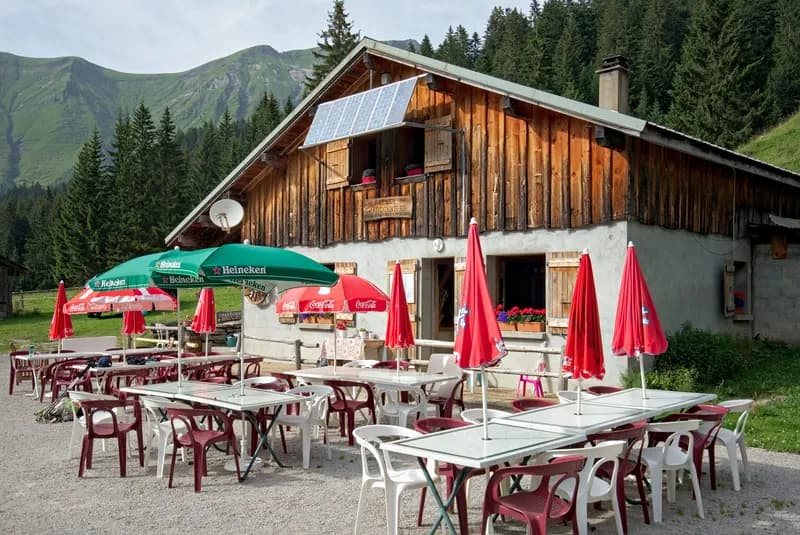 Refuge picture