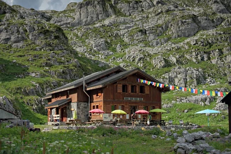 Refuge picture